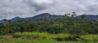 Figura 2- Vista panorâmica da Serra de Jacobina na trilha para o sítio Cachoeira do Coxinho. 
