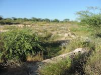 Trechos cobertos por vegetação