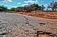 Pista de dinossauro Sousaichnium pricei no Geossítio Passagem das Pedras, Sousa, PE. Crédito: Rafael Costa da Silva