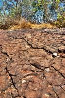 Vista geral do geossítio Piau, com pegadas de dinossauros em primeiro plano. Crédito: Rafael Costa da Silva