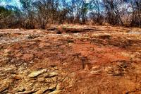 Vista geral do geossítio Fazenda Paraíso, com pegadas de dinossauros em primeiro plano. Crédito: Rafael Costa da Silva