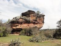 A vegetação do tipo rupestre e de cactáceas predomina no entorno dos morrotes.