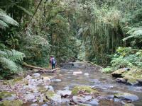 Além da caverna, vale a pena visitar este Geossítio bela beleza do relevo cárstico, revestido de exuberante Mata Atlântica e drenado por cristalinos cursos d´água. Um belo conjunto de obras da natureza.