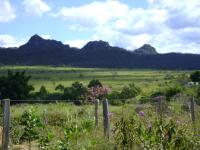 Pico dos Pireneus visto a partir da BR-070. Fonte: Proposta Geoparque dos Pireneus (CPRM, 2010)