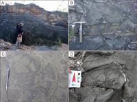 A) Afloramento de  pillow lavas do Quebra Osso (algumas pillows estão destacados em amarelo), caracterizadas por B) massas circulares a elipsoidais justapostas; C) detalhe de pillows pedunculados; D) zoneamento textural concêntrico, crosta afanítica de cor escura a cinza claro (casca de vidro alterada) e fissuras de contração radial concêntricas. Compilado de Ferreria et al 2022.