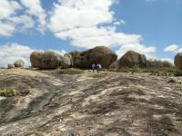 Aspecto geral do sitio Lajedo Manoel de Souza, com matacões de grande porte dispostos no seu pavimento aflorante. Foto: Rogério Valença Ferreira.