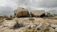 Visão geral do geossítio Lajedo do Bravo, com tafoni basais de grandes dimensões. Nos blocos maiores a presença de karrens (caneluras desenvolvidas em blocos graníticos). Foto: Rogério Valença Ferreira.