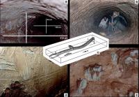 Representação gráfica da paleotoca.(a) Entrada semi-inundada. (b) Interior da estrutura. (c) Morfologia geral da paleotoca. (d) Marcas do Tipo I. (e) Marcas do Tipo II. Autor: Buchmann, F. S.; et. al. (2010)