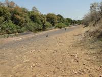 Planície aluvial do Rio do Peixe, na localidade do Sítio Tapera.  Crédito: Rogério Valença Ferreira