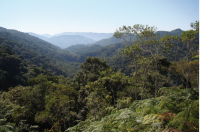 Uma das belas cenas que podem ser avistadas ao percorrer a estrada do lajeado, aqui proposta como um Geossítio potencial linear. 