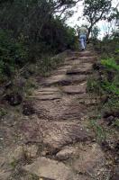 Registro da Estrada Real na trilha do Pico do Barbado. Foto: Antônio R. Espinheira, 2015.