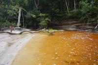 Barra arenosa (praia) a jusante da cachoeira. Foto: Gilmar Honorato.