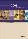 Relatrio de 2006